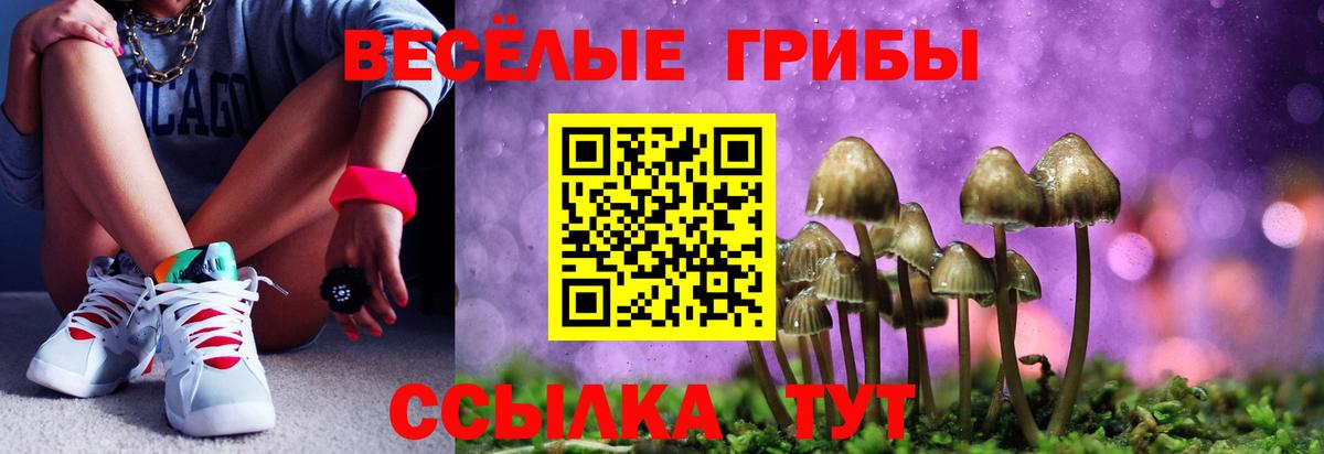 Псилоцибиновые грибы Psilocybine cubensis  Псилоцибиновые грибы Cubensis  Вход с VPN  Котельники 